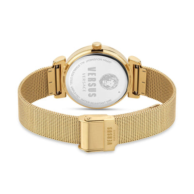 VESACE VERSUS YGP with Champ Dial